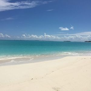 Meet your Posher, Andy